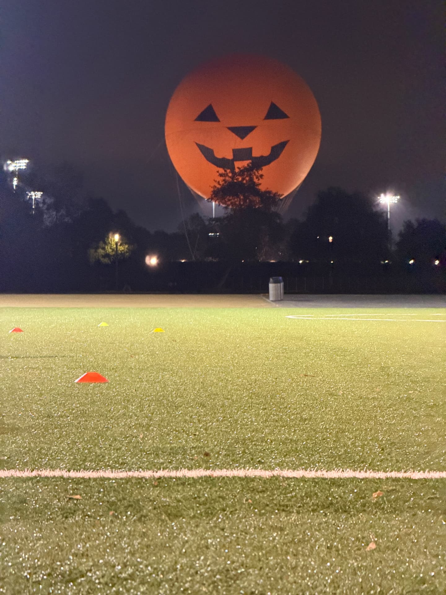 Halloween Training photo